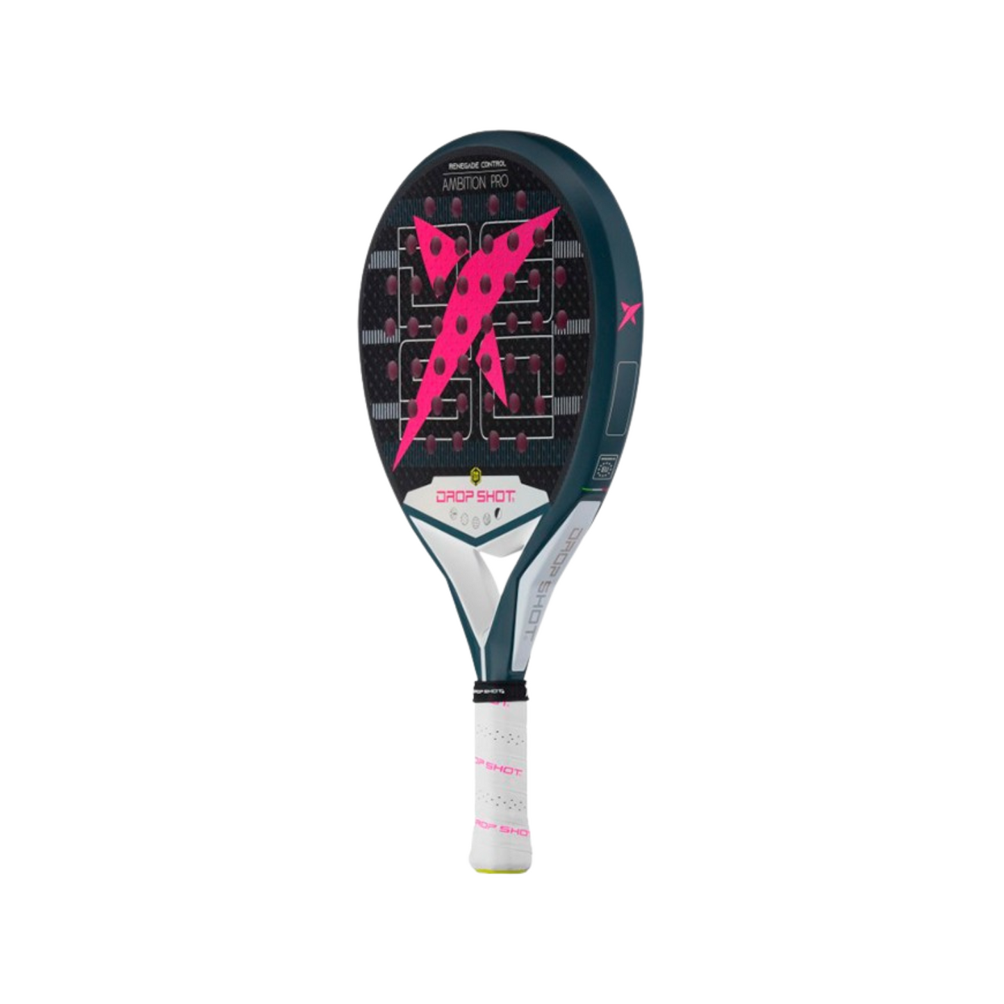 PALA RENEGADE CONTROL